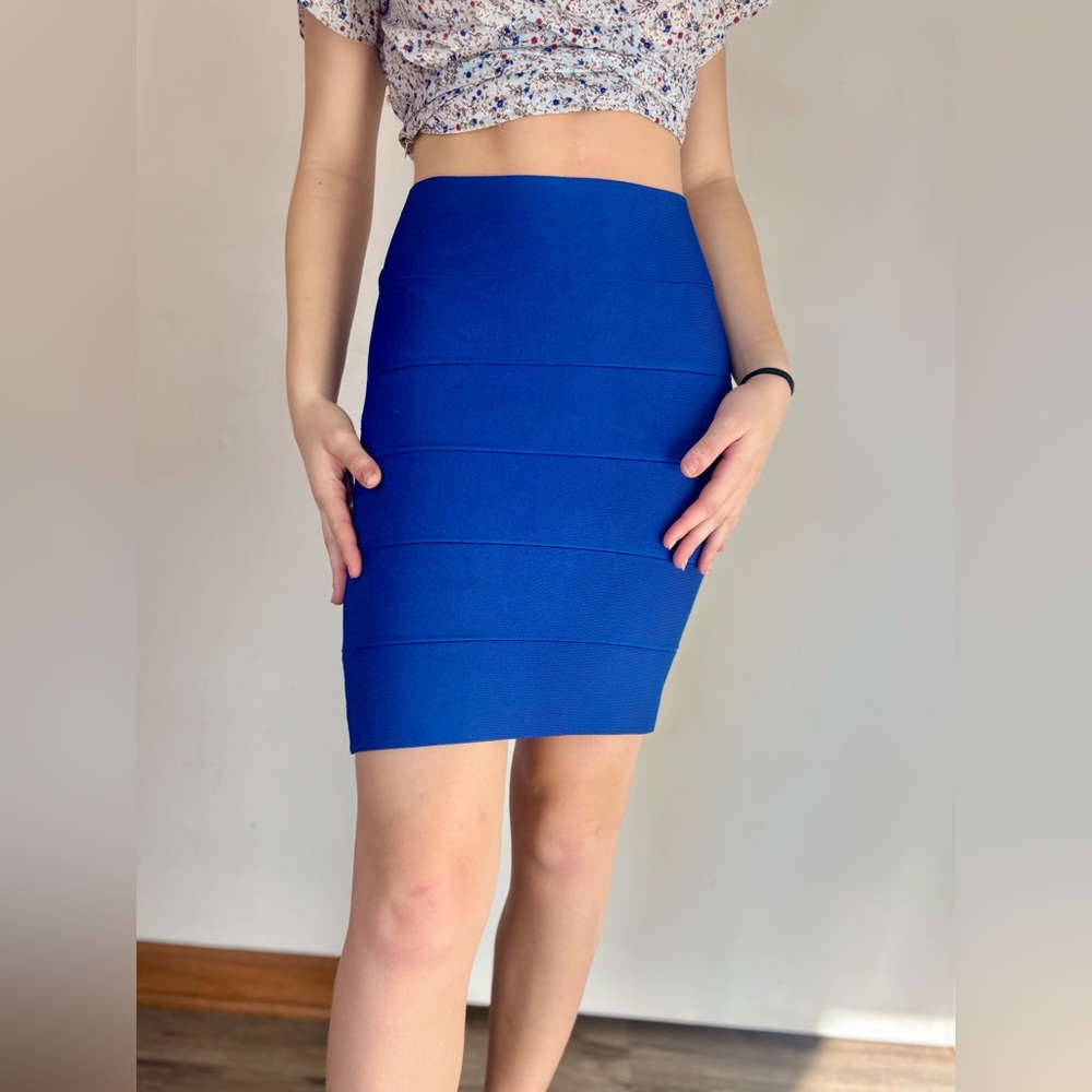 BCBG Maxazria High Waisted Skirt